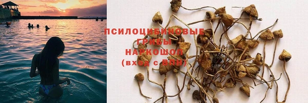 МДПВ Беломорск