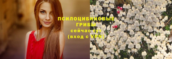 скорость Белокуриха