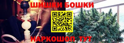 сатива Краснознаменск
