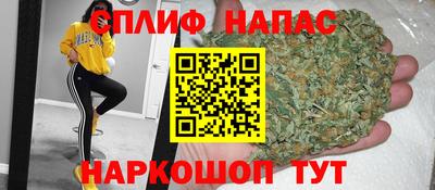 сатива Краснознаменск