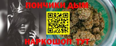 сатива Краснознаменск
