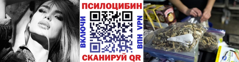 где найти   Краснокаменск  Псилоцибиновые грибы прущие грибы 
