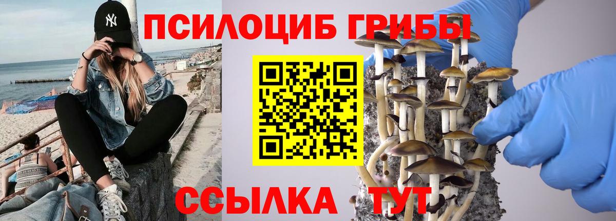 Галлюциногенные грибы ЛСД  где купить наркотик  Краснокаменск  Вход с VPN  Галлюциногенные грибы Psilocybine cubensis 