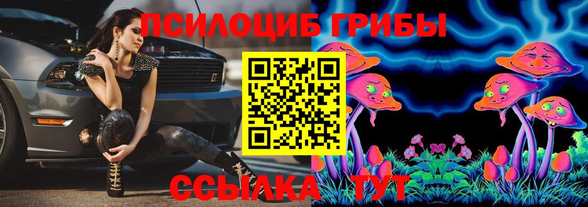 Галлюциногенные грибы GOLDEN TEACHER Краснокаменск
