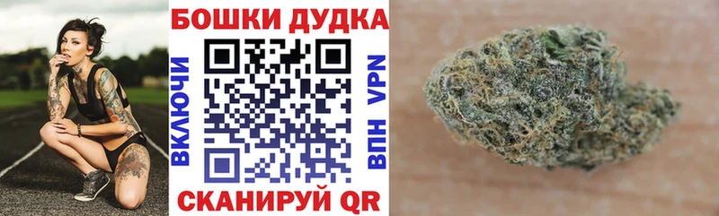 что такое   Краснокаменск  Каннабис Bruce Banner 